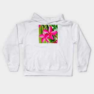 Tropical Pink Plumeria Flower Blooms Kids Hoodie